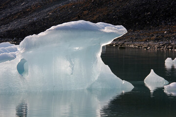 Poster - beauté de l' énorme glace flottante 