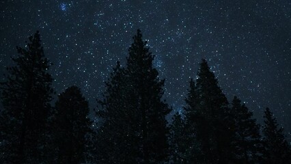 Wall Mural - Animated Nature Landscape With Night Sky
