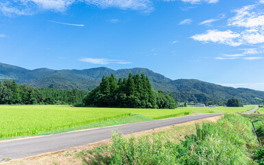 Wall Mural - 田舎の田園風景