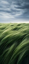 Windy Grass Field IPhone Wallpaper Made With Ai Generative Technology