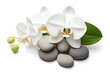 © LimeSky - A photo of spa stones and a white orchid flower has been taken with a white background, and a clipping path has been included. The objects are positioned in a flat lay style.