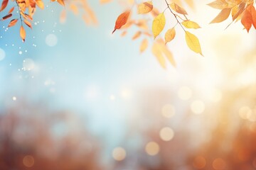 Poster - Blurred bokeh autumn backdrop of trees leaves and sky