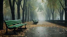 Green Wooden Benches At A High Angle Along An Empty Path Covered With Dry Leaves In A Misty Autumn City Park.