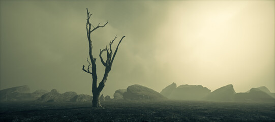 Wall Mural - Dead tree in misty barren rocky landscape with cloudy sky.