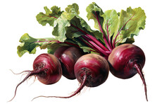 Fresh And Organic Beetroot Isolated On Transparent Background - Healthy Vegetable Food Concept