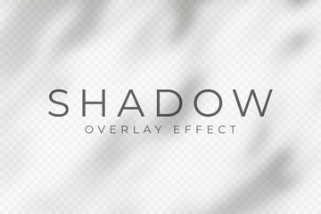 Leinwandbilder - Shadow overlay effect. Transparent soft light and shadows from plant branches, leaves and foliage. Mockup of abstract transparent shadow overlay effect and natural lightning scene. Vector