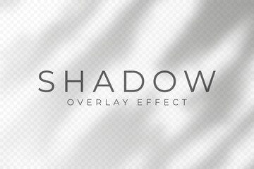 Leinwandbilder - Shadow overlay effect. Transparent soft light and shadows from plant branches, leaves and foliage. Mockup of abstract transparent shadow overlay effect and natural lightning scene. Vector