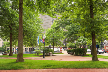 Sticker - Sunlit trees in a lush green park, symbolizing nature's hope and vitality, a serene refuge for rejuvenation and peace