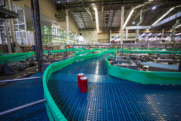 Wall Mural - The crossing flow can of the roller and conveyor carbonated