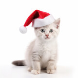 Fototapeta Koty - Closeup of cute kitten in red Santa hat isolated on white background 