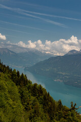 Wall Mural - The Swiss Alps with Buildings Sitting Along the Hills and Mountains and a Lake in the background in Switzerland in Summer