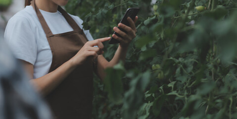 in the industrial greenhouse two agricultural engineers test plants health and analyze data with tab