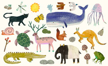 Animal Wildlife Watercolor Vector Illustration.