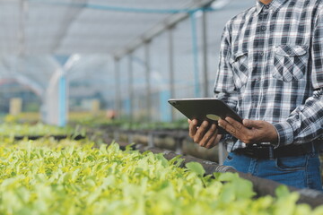 in the industrial greenhouse two agricultural engineers test plants health and analyze data with tab