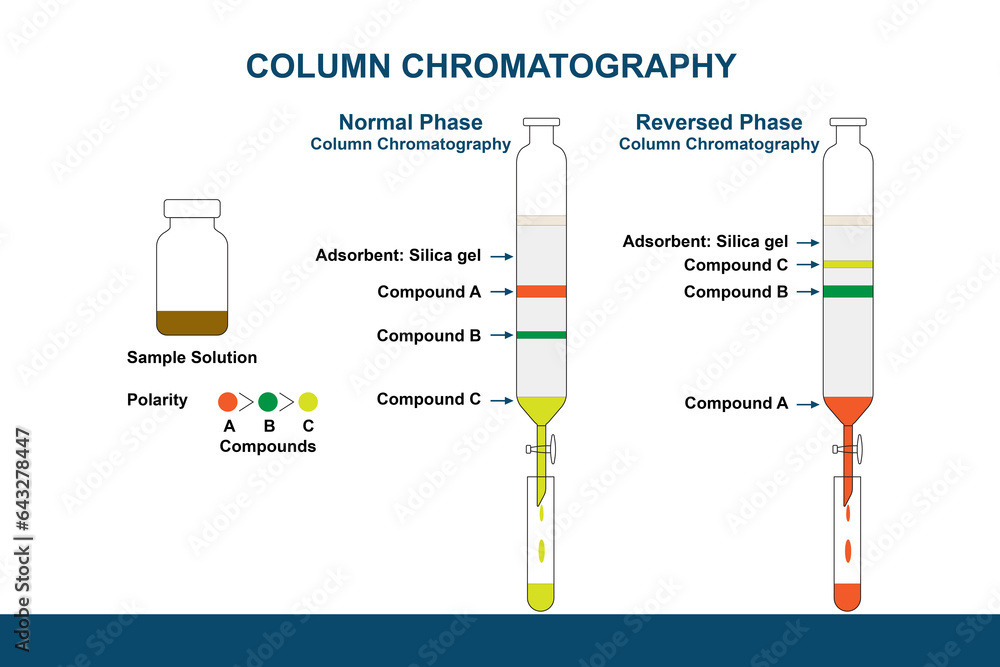 Illustration of Normal Phase and Reversed-Phase Column Chromatography ...