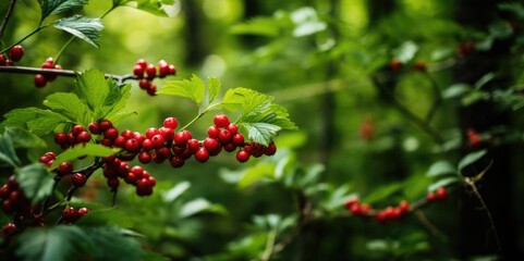 Sticker - Enchanting Wilderness: Lush Greenery and Vibrant Red Berries, generative ai