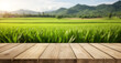 © Viks_jin - Empty wood table and blurred rice field and mountain landscape at morning. Empty wooden table with rice field and sunshine. for display or montage your products, digital ai