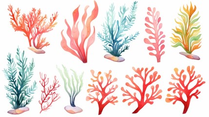  vibrant watercolor seaweed and corals in a mesmerizing underwater scene