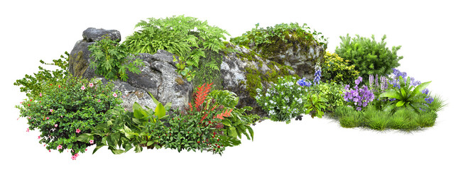 Wall Mural - Cutout rock surrounded by flowers. Garden design isolated on transparent. Flowering shrub and green plants for landscaping. Decorative shrub and flower bed.