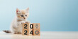 Target and strategy planning concept, Investment growth goals in 2024 Year, Cat touch wooden cube on pastel blue background, Business investment and profit, Business banner with copy space