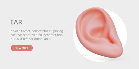 Realistic human ear. Help of otolaryngologist. Hearing test, audiometry. Clinic services. Advertising banner with link button. Concept with place for text