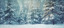 Winter Forest With Snow Covered Spruce Branches During Snowfall Outdoor Nature Background For Christmas Card With Space For Text