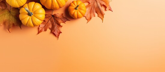 Fototapete - Autumn arrangement of pumpkins and fall leaves on a colored surface Overhead view with room for text