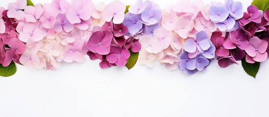Aufkleber - Hydrangea flowers arranged on a white background in a flat lay floral frame
