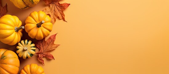 Fototapete - Autumn arrangement of pumpkins and fall leaves on a colored surface Overhead view with room for text