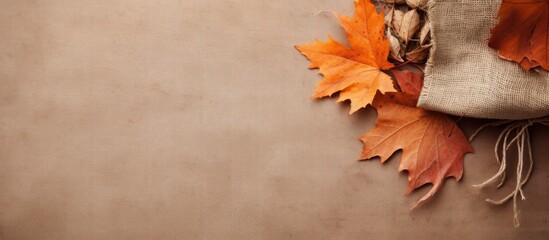 Autumn themed arrangement of dry leaves gift corner display rustic background
