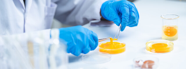 Poster - laboratory of chicken egg in agriculture manufacturing industry or food quality control research, expert inspection working to science analysis test in medicine biology safety, biotechnology concept