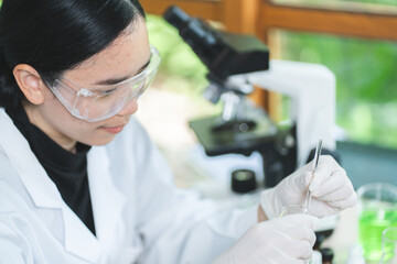 Wall Mural - science research technology of plant leaf laboratory for medicine chemistry, medicals scientist work