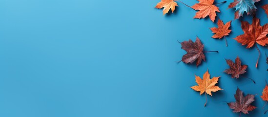 Fototapete - Autumn leaf pattern on blue background