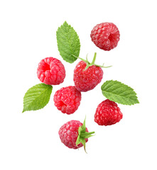 Sticker - Many fresh ripe raspberries and green leaves falling on white background