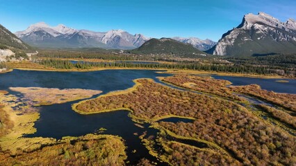 Wall Mural - drone view of a forest, rivers and mountains in the rocky mountains. landscape from the air. video f