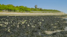 Low-angle Footage Of Algae-covered Beach Rocks At Low Tide, Watchtower