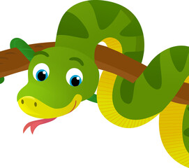 Wall Mural - cartoon scene with happy tropical animal snake isolated illustration for children