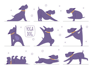 Wall Mural - Yoga dog pet set, cute domestic animal doing fitness exercise body training vector illustration