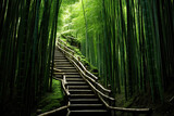 Fototapeta Dziecięca - bamboo forest path