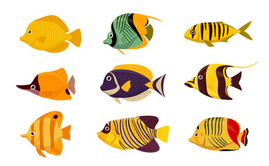 Cartoon tropical fish. Aquarium or wild underwater fish. Oceanic colorful marine fauna flat vector illustration set. Saltwater fish collection