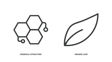 Wall Mural - set of nature thin line icons. nature outline icons included chemical structure, orange leaf vector.