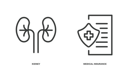 Sticker - set of medical thin line icons. medical outline icons included kidney, medical insurance vector.