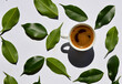 coffee beans and leaves