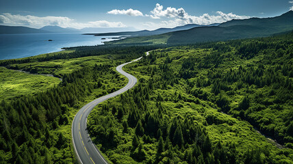 Top down aerial view of winding forest road in green mountain spruce woods. Generative AI