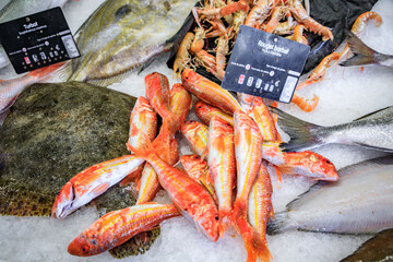 Freshly caught striped red mullet fish on display at the fish market in the Old Town, Vieille Ville in Menton, French Riviera, South of France