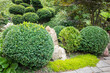 cut bushes into clouds Japanese garden