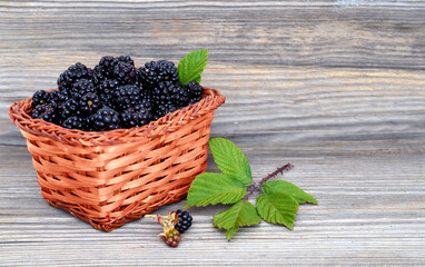 Wall Mural - Freshly picked organic blackberries in a basket on old wooden  background.Blackberry.Rubus villosus.
Healthy eating,vegan food or diet concept.Selective focus.