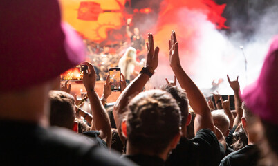 Wall Mural - crowd at concert - summer music festival.