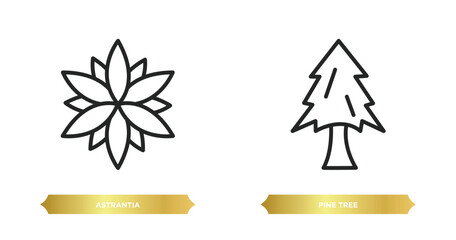 Sticker - two editable outline icons from nature concept. thin line icons such as astrantia, pine tree vector.