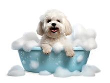 Cute Little Shih-Tzu Dog In A Bath With Foam, Isolated On White Background, Cute Pet Concept, Realistic 3D Illustration, Generative Ai